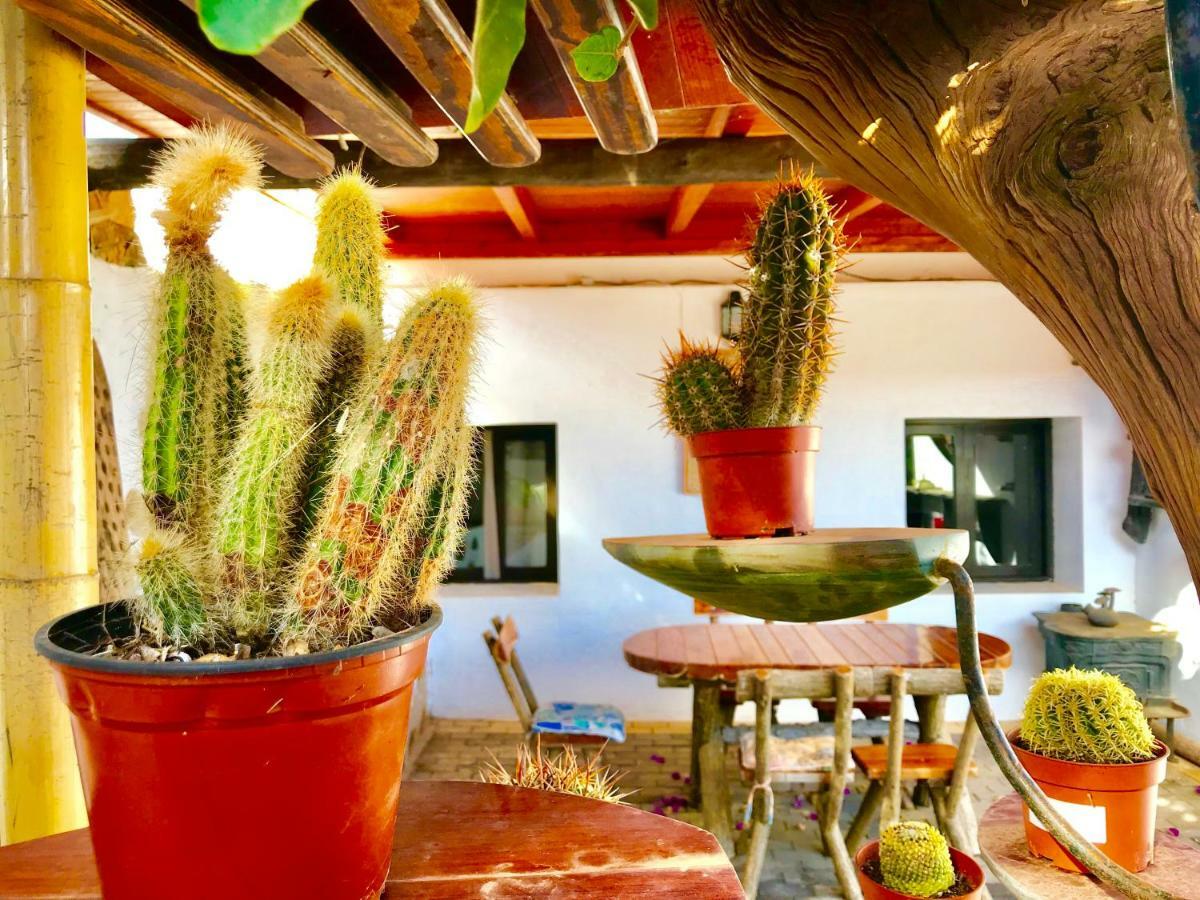 Villa Margarita Valle de Santa Ines Экстерьер фото
